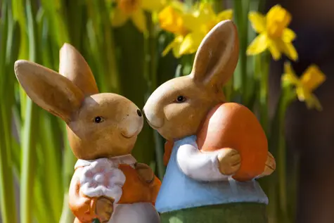 surrogate - celebrate Easter