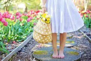 become a surrogate spring