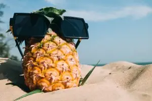 surrogacy in california staycation ideas