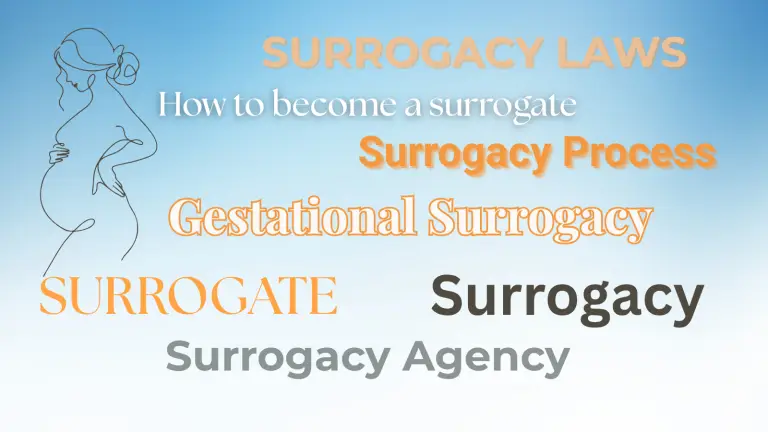 Gestational Surrogacy Process and Surrogacy Laws explained by Egg Donor & Surrogacy Institute (EDSI)
