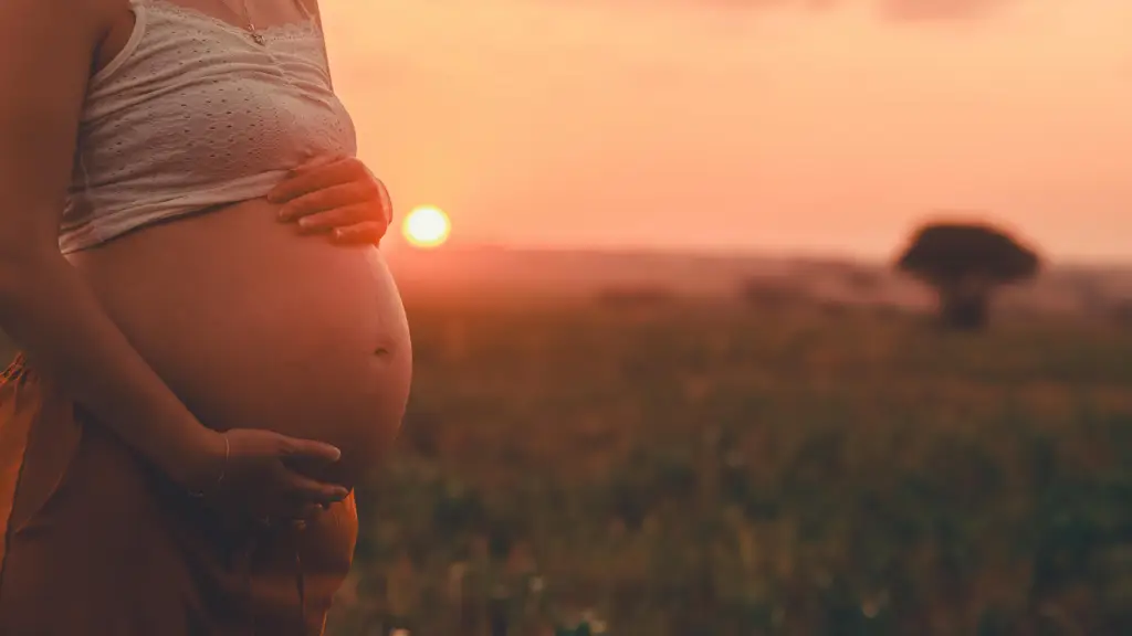 Pregnant woman representing California surrogacy 2025 journey with EDSI at sunset